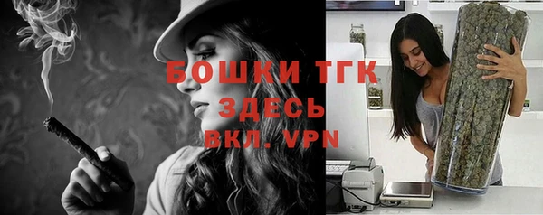 твердый Богородск