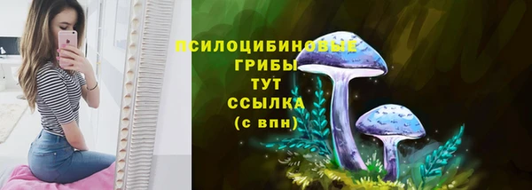 метадон Семикаракорск