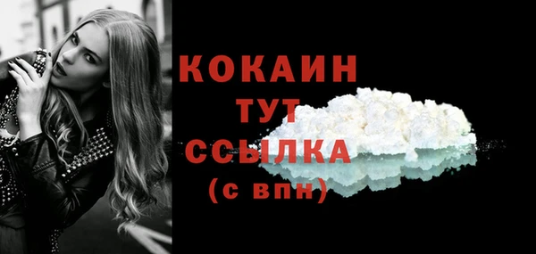 твердый Богородск