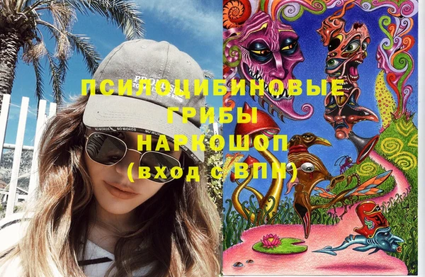 твердый Богородск