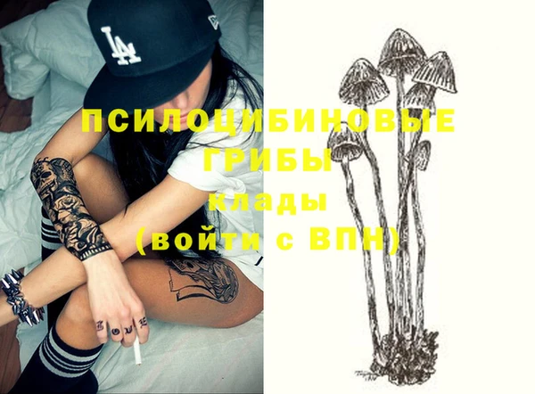 винт Богородицк