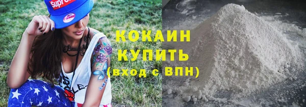 твердый Богородск