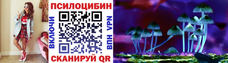 Галлюциногенные грибы Magic Shrooms  где продают наркотики  Шебекино 